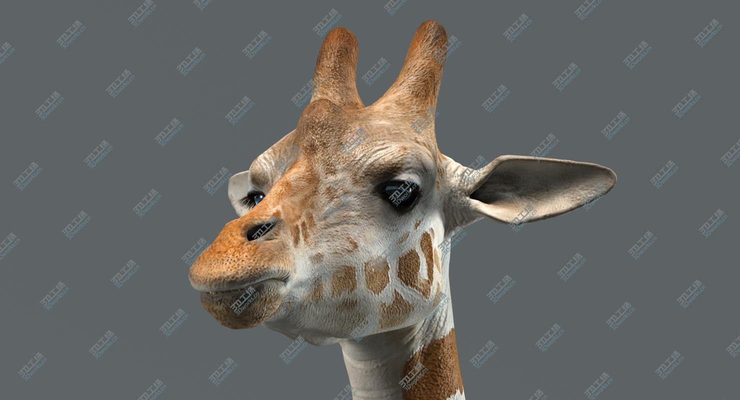 images/goods_img/202104021/3D Giraffe (Rigged) model/3.jpg